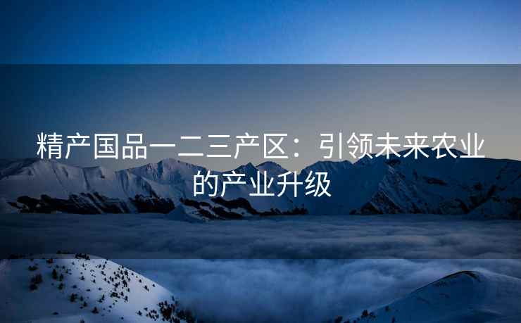 精产国品一二三产区：引领未来农业的产业升级
